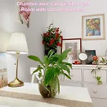 Chambre Privee, Sdb Partage, Arc De Triomphe, Metro 1, T3B, Rer C E A