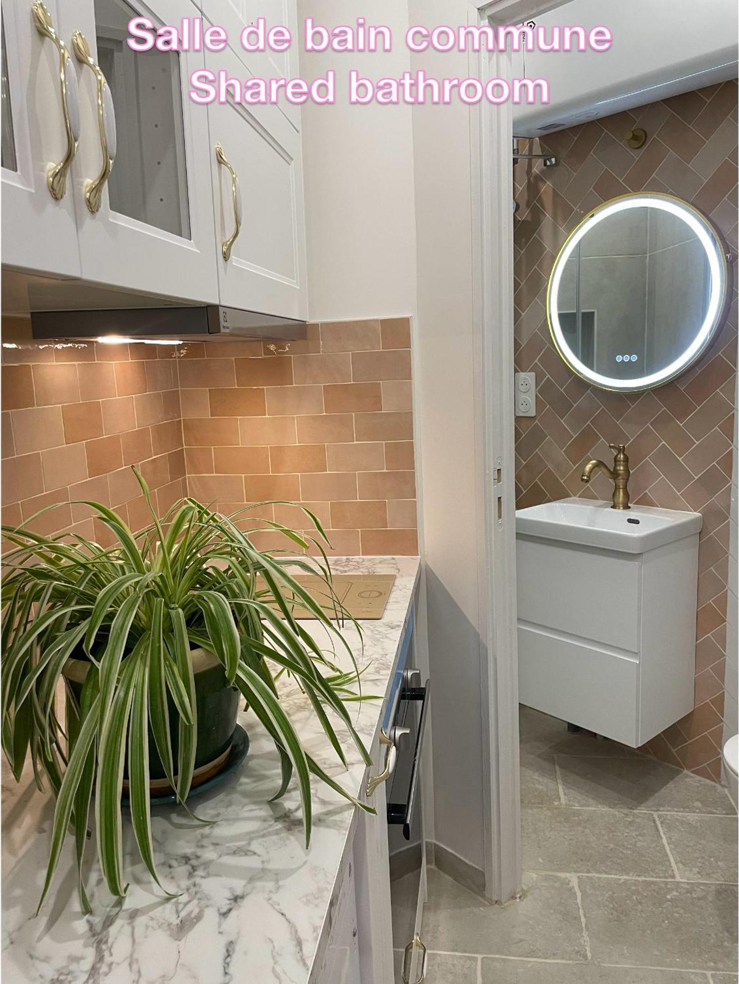 Accommodatie bij particulieren Privee, Sdb Partage, Arc De Triomphe, Metro 1, T3b, Rer C E A Parijs
