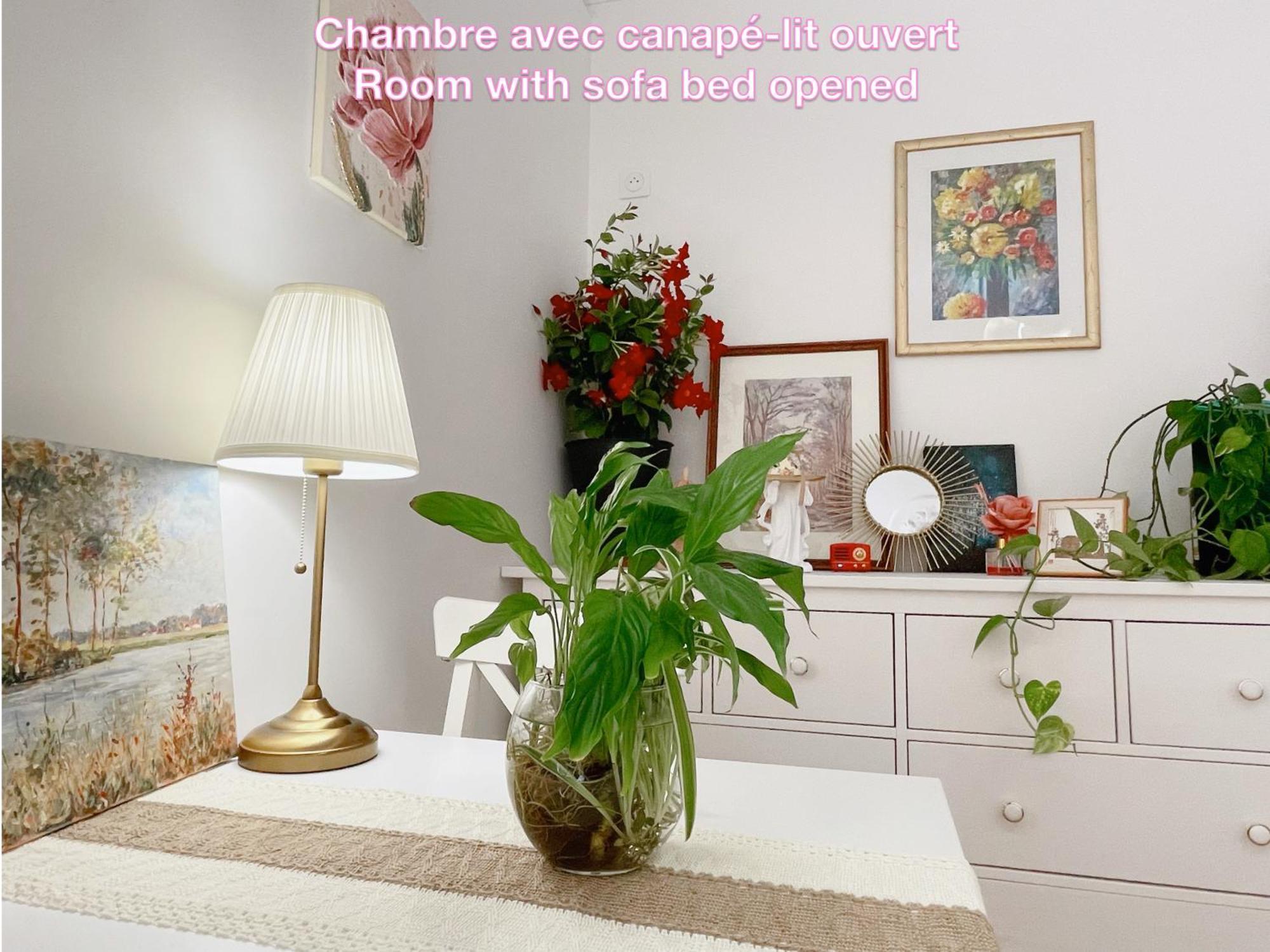 Privee, Sdb Partage, Arc De Triomphe, Metro 1, T3b, Rer C E A