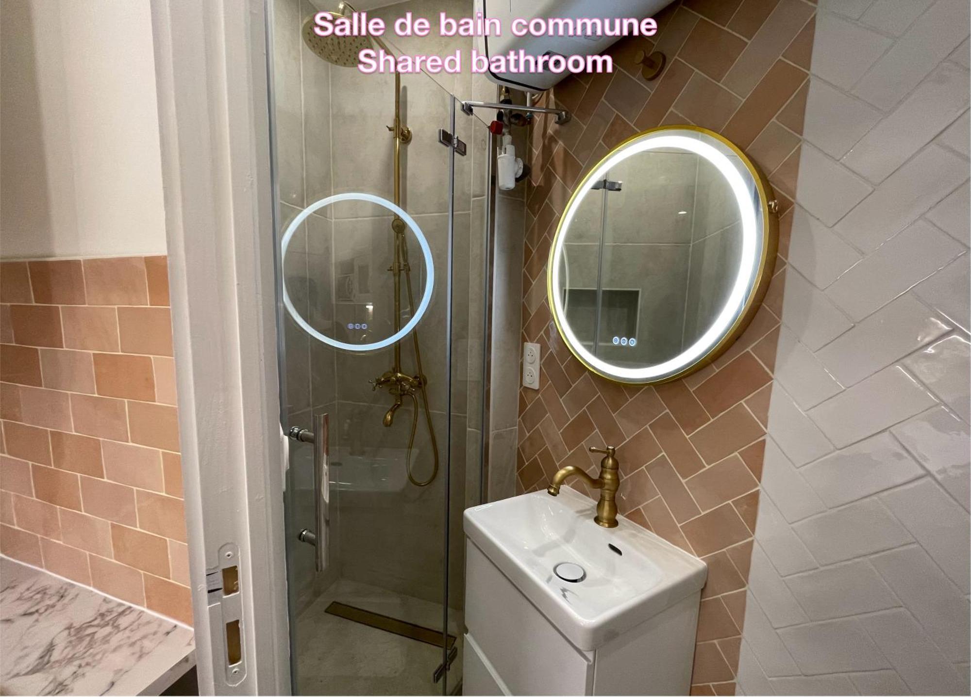 Privee, Sdb Partage, Arc De Triomphe, Metro 1, T3b, Rer C E A * Parijs